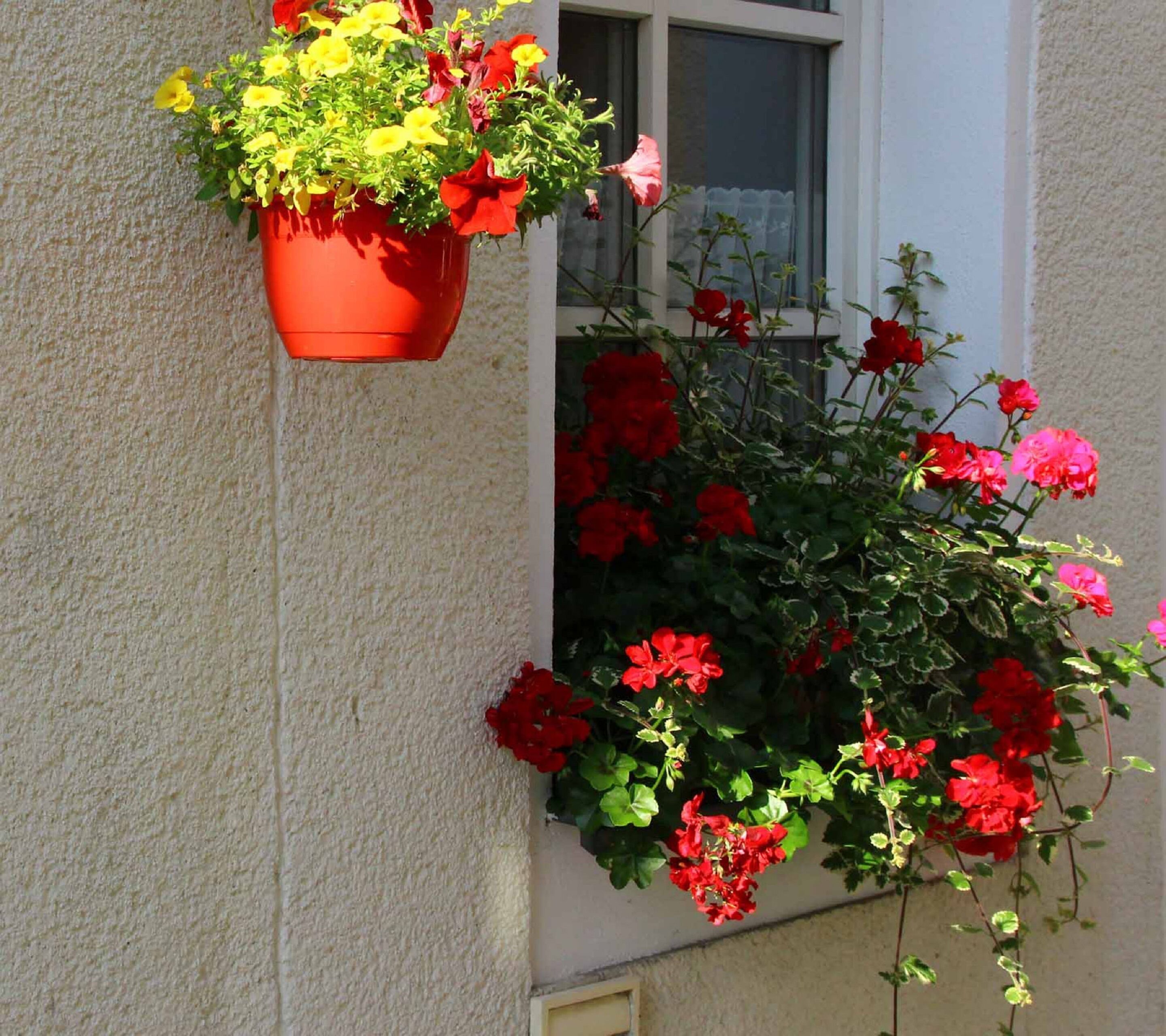外觀細部