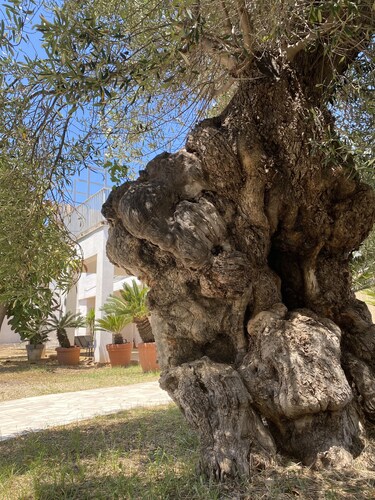 Vacation homes 'GLI ULIVI'