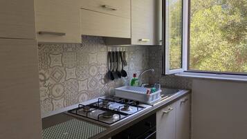 Kühlschrank, Mikrowelle, Ofen, Herdplatte