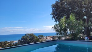Une piscine à débordement offrant une vue dégagée sur l’océan, avec un arbre au premier plan.