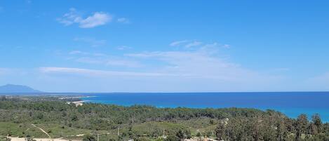 A coastal landscape with a road, buildings, and dense vegetation.