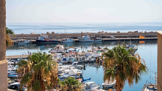 Un puerto deportivo con barcos amarrados, palmeras y una vista despejada del mar.