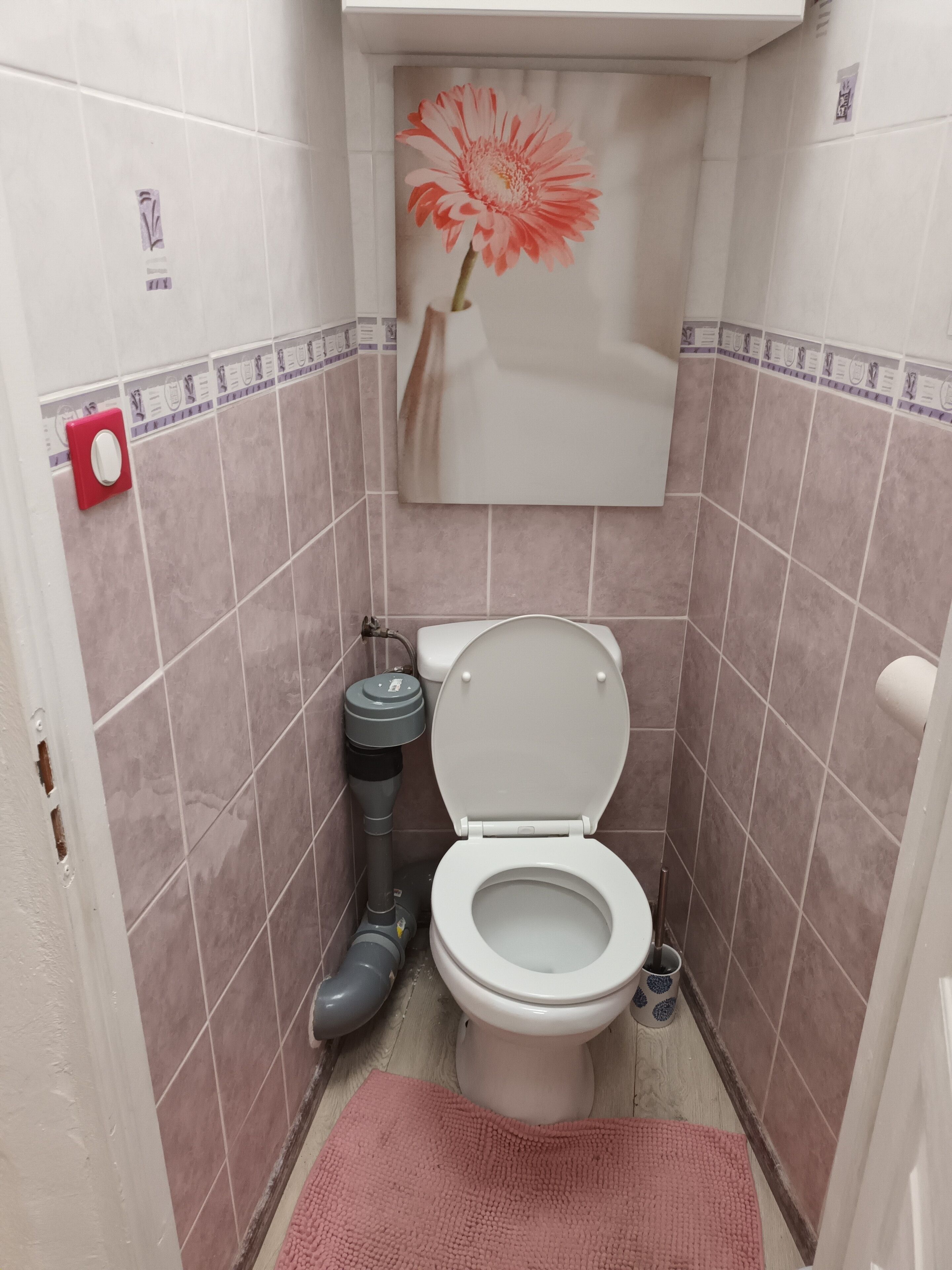 Un baño pequeño con inodoro, un tapete rosa y un dispensador de papel higiénico en la pared.