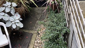 Un jardín con muro de ladrillo, portón negro y diversas plantas.