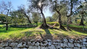 Área da propriedade