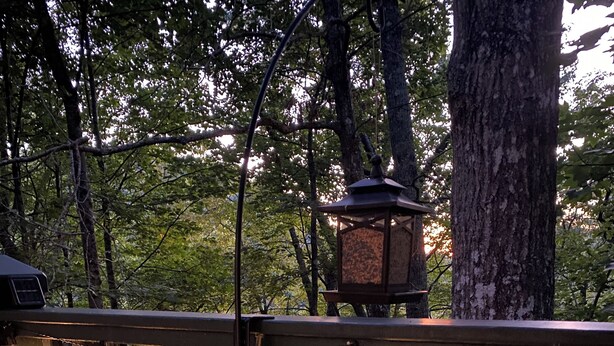 A wooden deck with string lights and a lantern. - Mountain Cabin in the woods-Tranquil Setting-2 bed 2 bath-Private-Deck-Views (Brasstown)