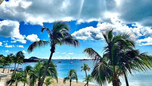 Una playa con palmeras y barcos en el agua.