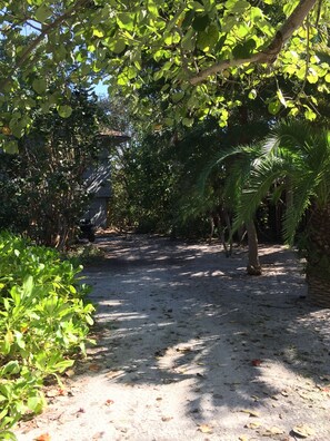 Property grounds - Private dock with 2 golf carts Oceanfront home Absolute Best Location on island! (North Captiva)