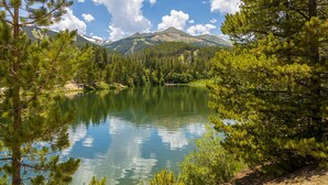 Un lago tranquilo rodeado de densos pinos y una montaña al fondo.