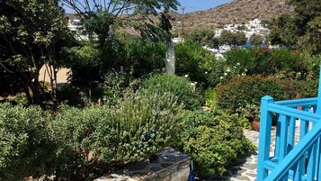 Quang cảnh vườn