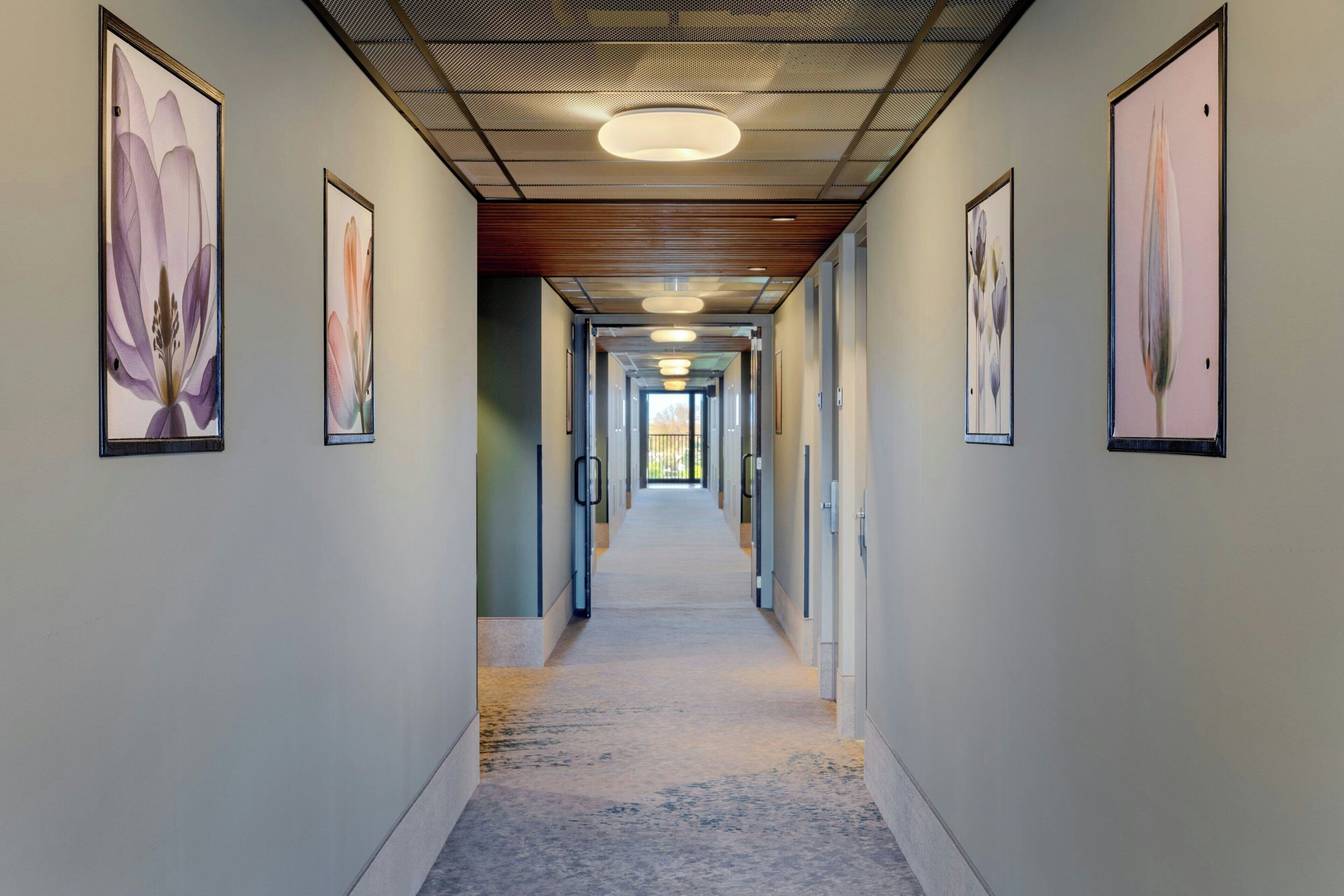 A hallway with framed floral artwork on the walls, a patterned carpet, and a ceiling with recessed lighting.