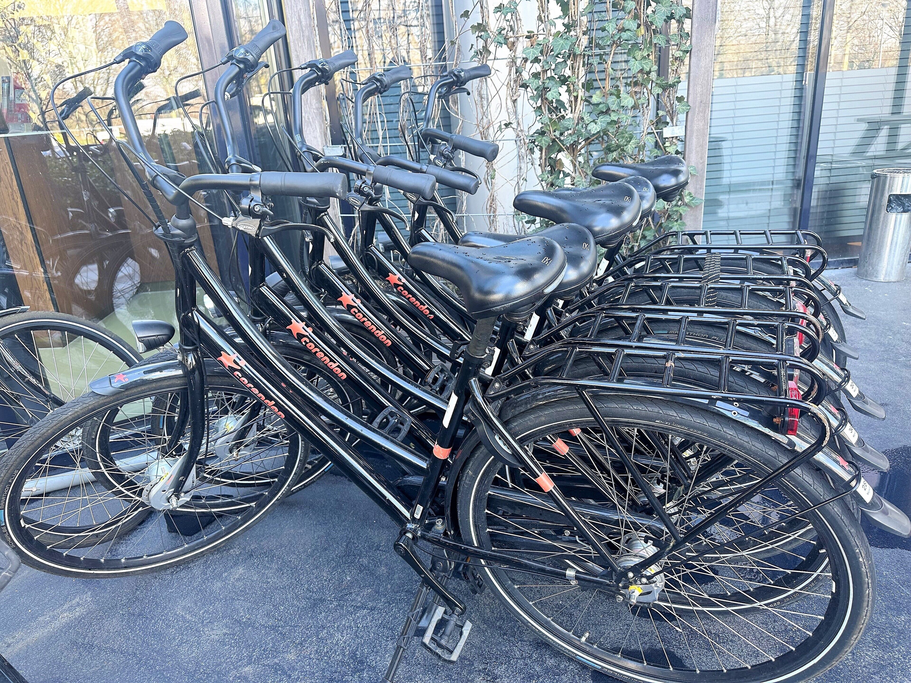 A row of bicycles parked in an outdoor area with a glass wall in the background.