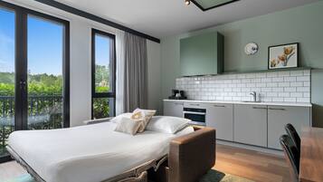 Twin Studio Apartment with Sofa Bed | View from room