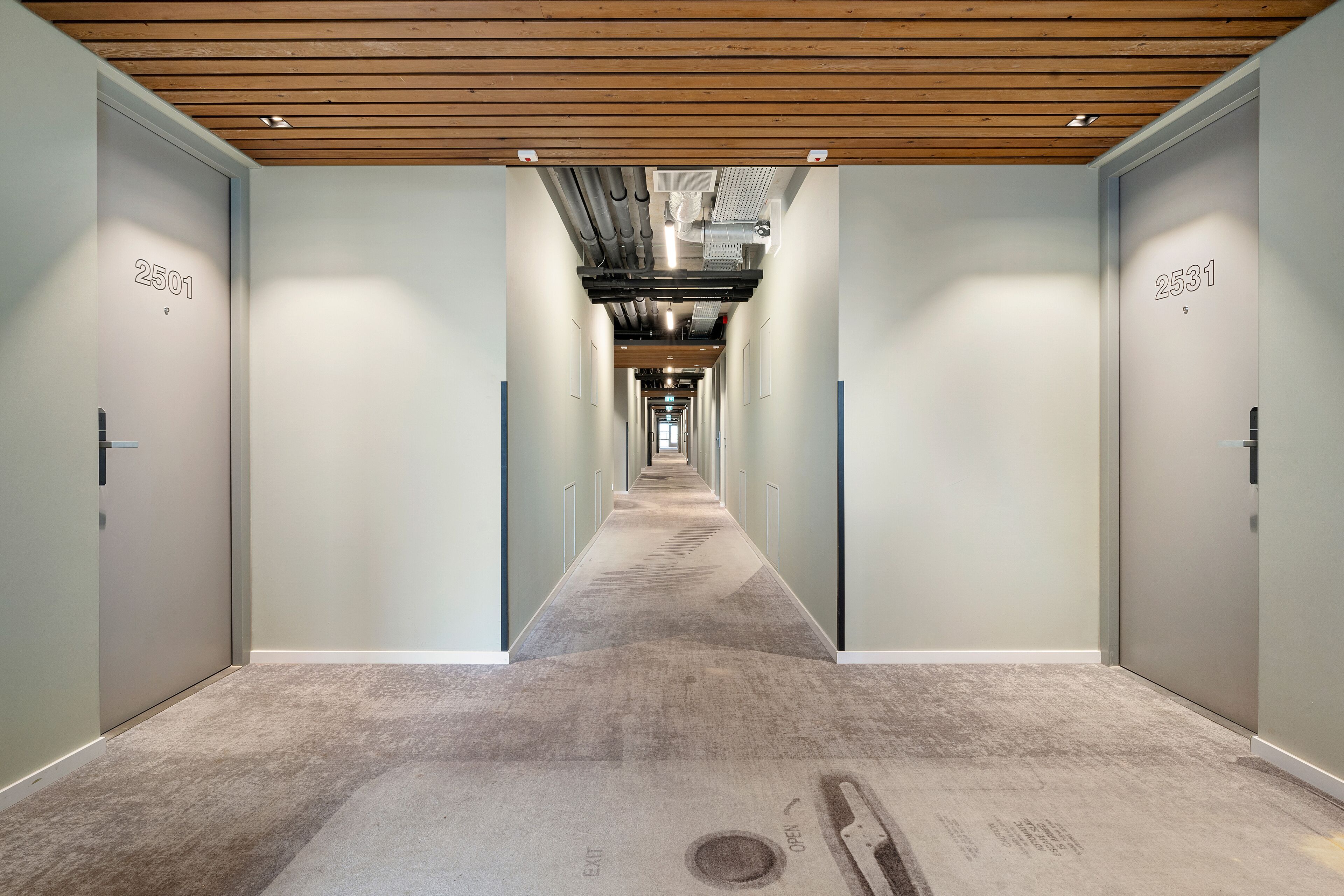 Un couloir dont le sol est recouvert de moquette, avec des poutres en bois au plafond et des portes numérotées 2501 et 2531.