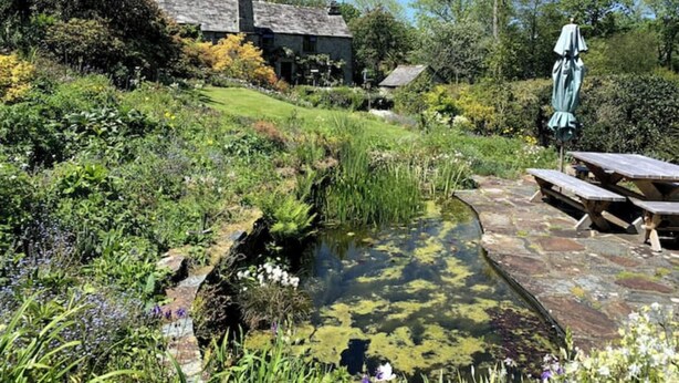 A garden with a pond, picnic tables, and a house with a thatched roof. - Barn and Stables in tranquil gardens and farmland (Boscastle)