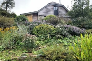 Surrounded by a lush garden, this charming house features a prominent black-framed window and a stone foundation.