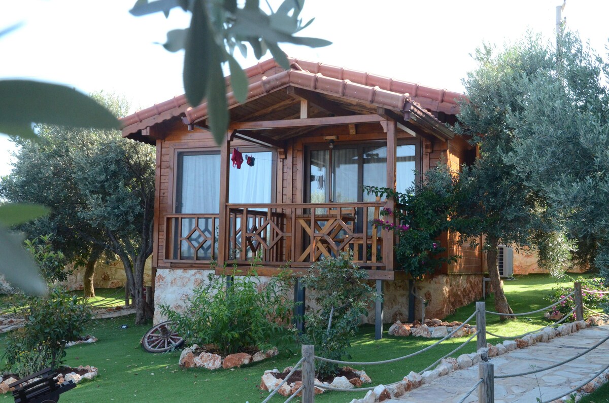 Doğanın Ruhu Otel Bungalow Kaş vip transfer