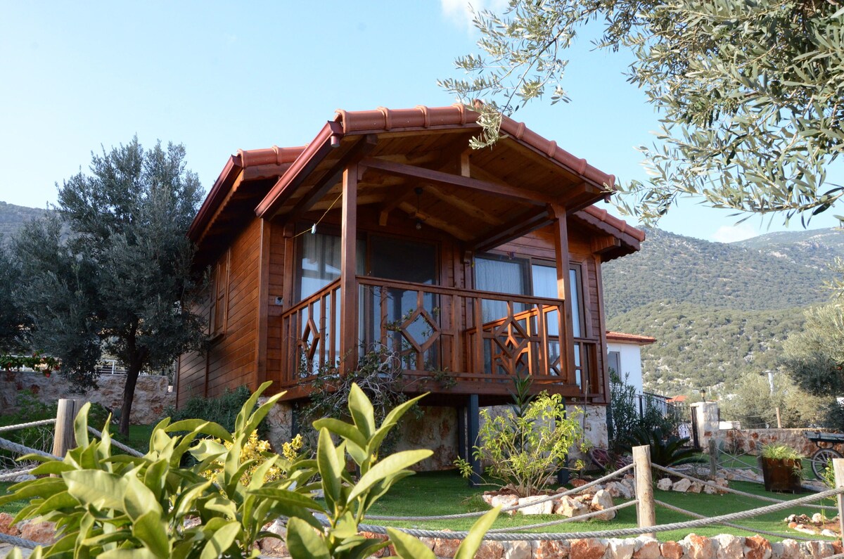 Doğanın Ruhu Otel Bungalow Kaş vip transfer