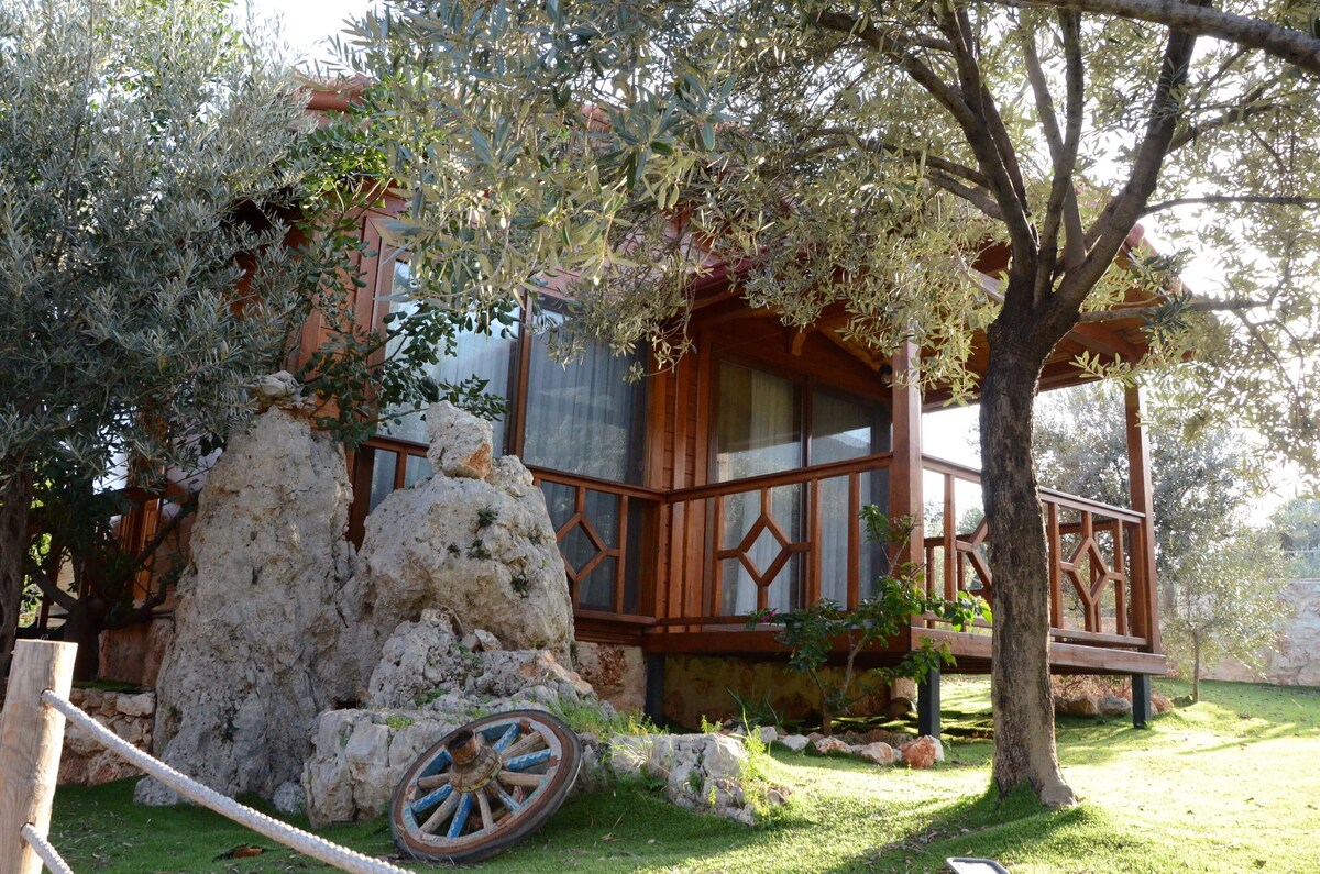 Doğanın Ruhu Otel Bungalow Kaş vip transfer