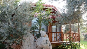 A rustic wooden cabin with a red roof, surrounded by olive trees and a rock formation.