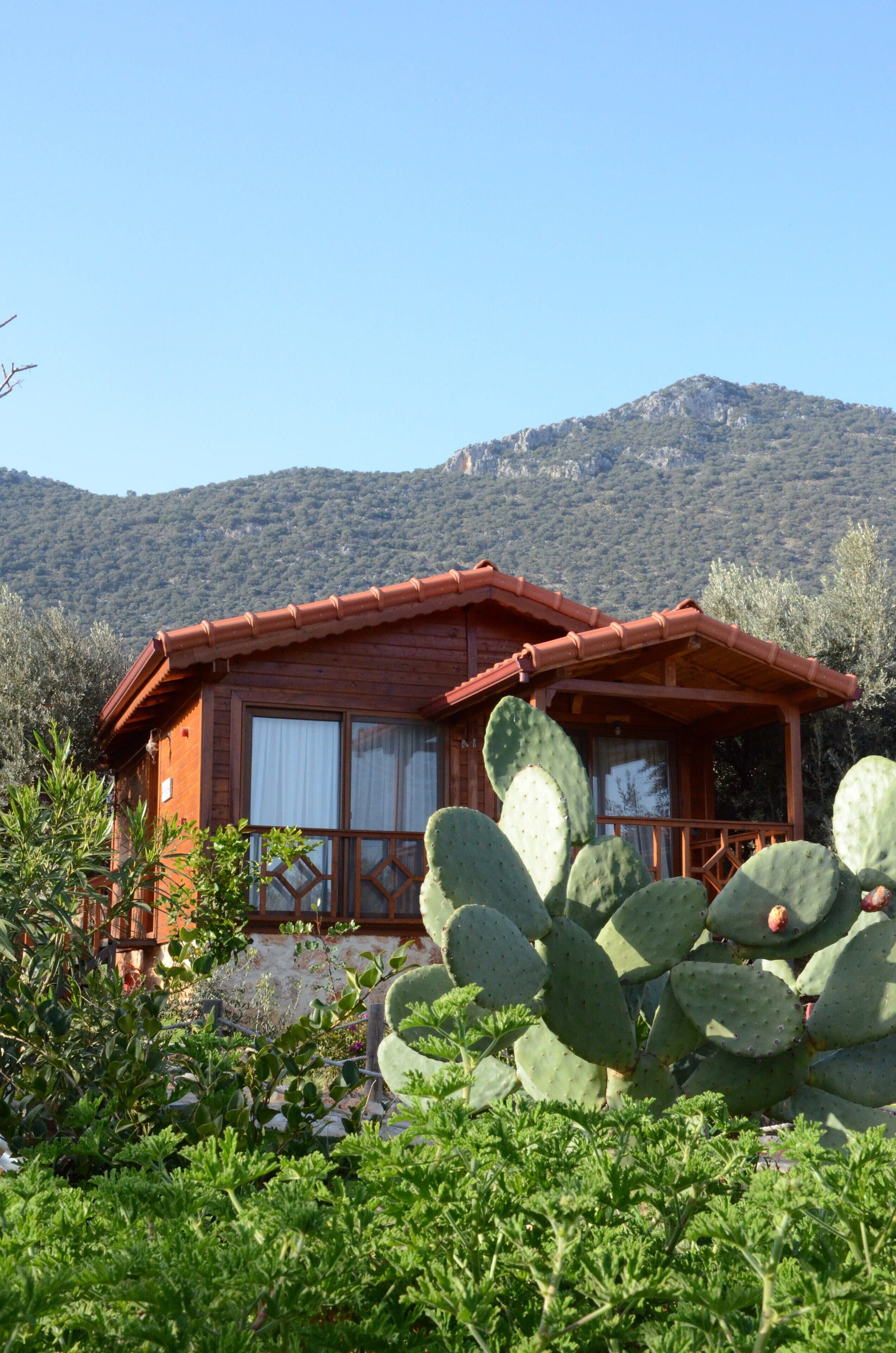 Una cabaña de madera con techo rojo, rodeada de vegetación y cactus, con montañas al fondo.