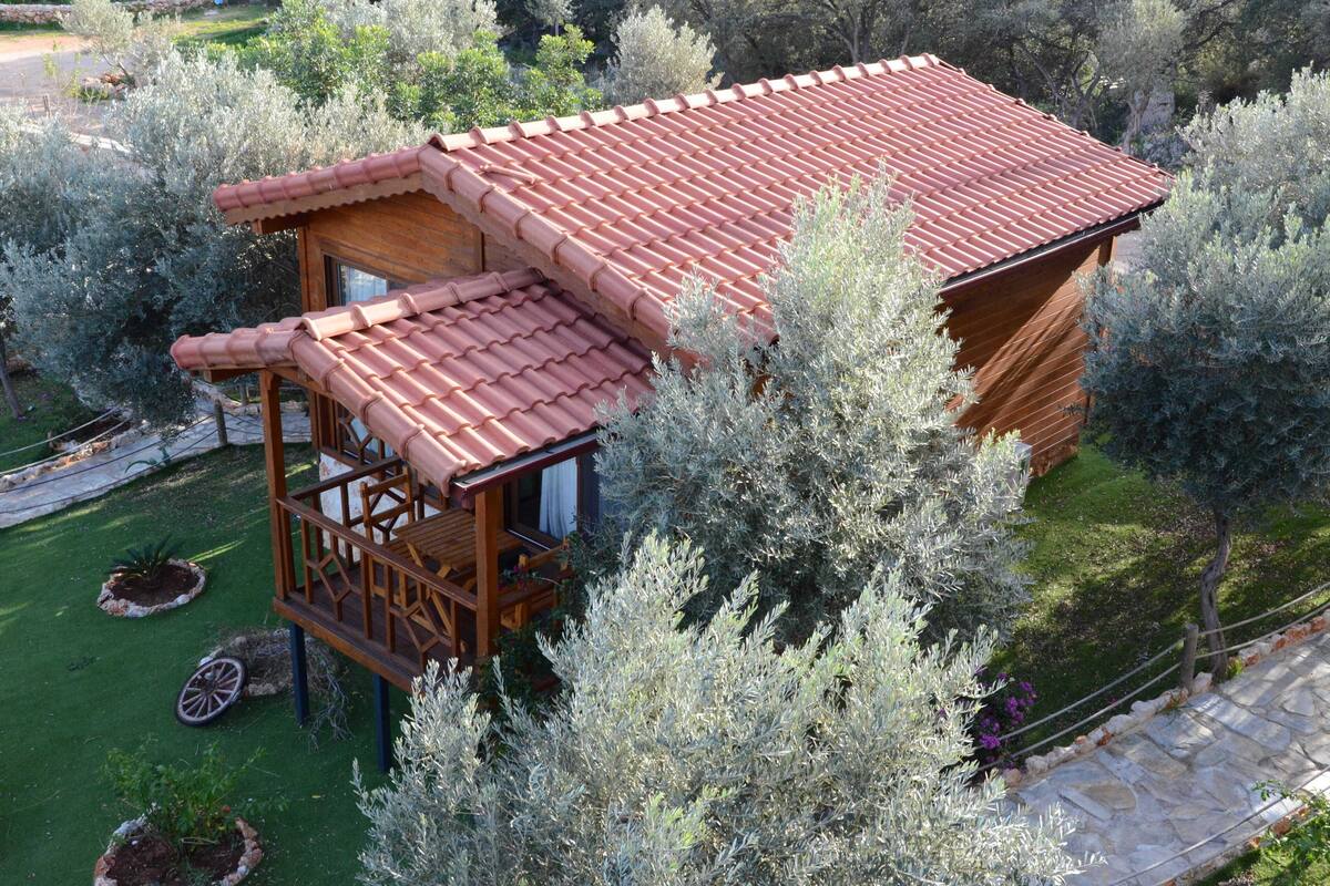 A wooden cabin with a red-tiled roof, surrounded by trees and a stone pathway.