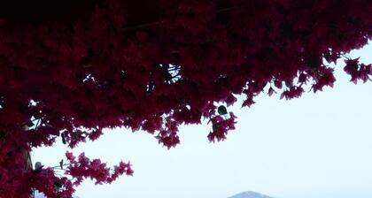 Doganin Ruhu Hotel & Bungalow