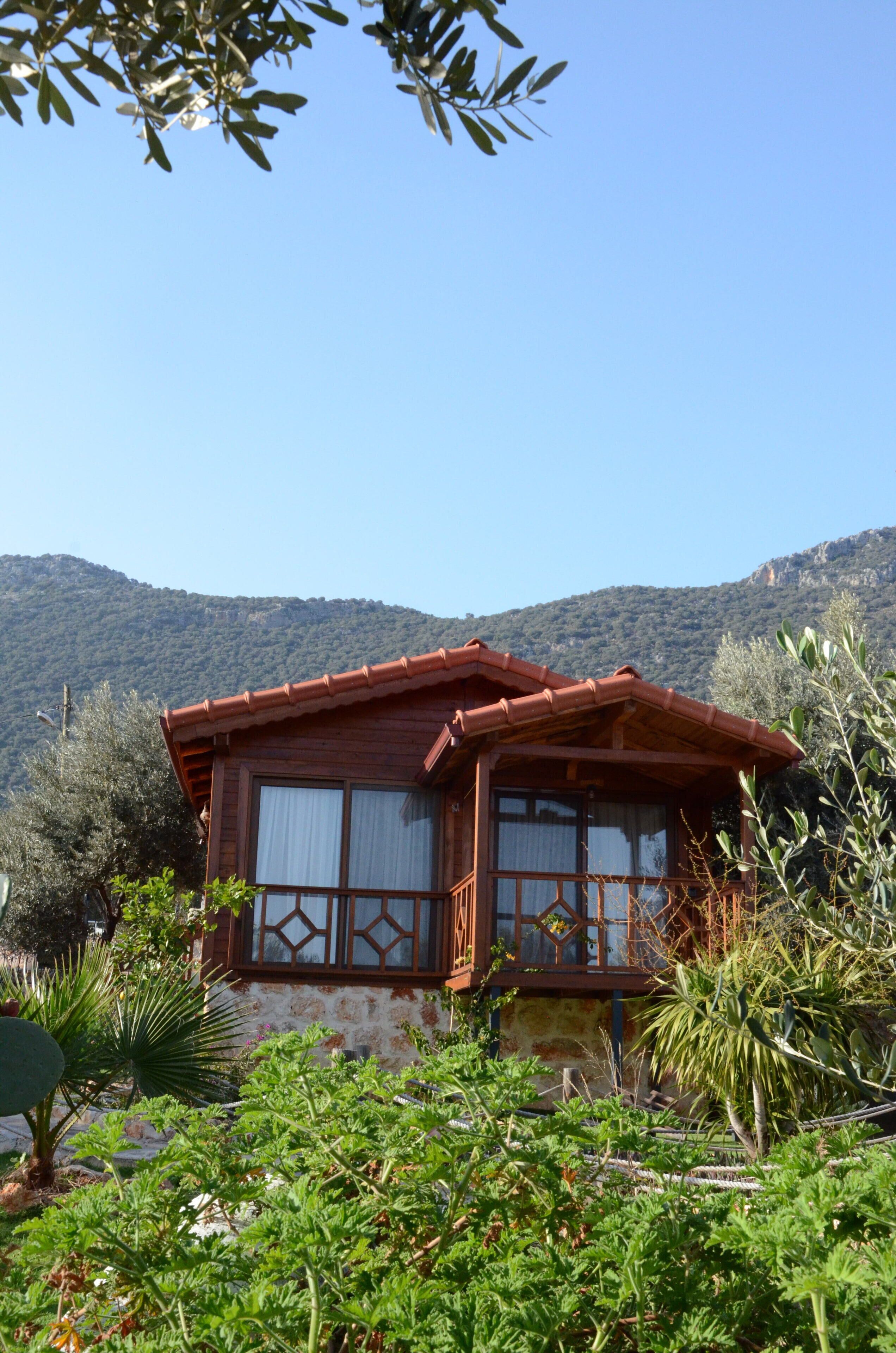 A wooden cabin with a balcony, surrounded by lush greenery and a mountainous backdrop.