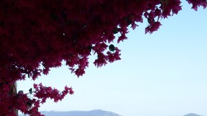 A balcony with a view of the sea and hills.