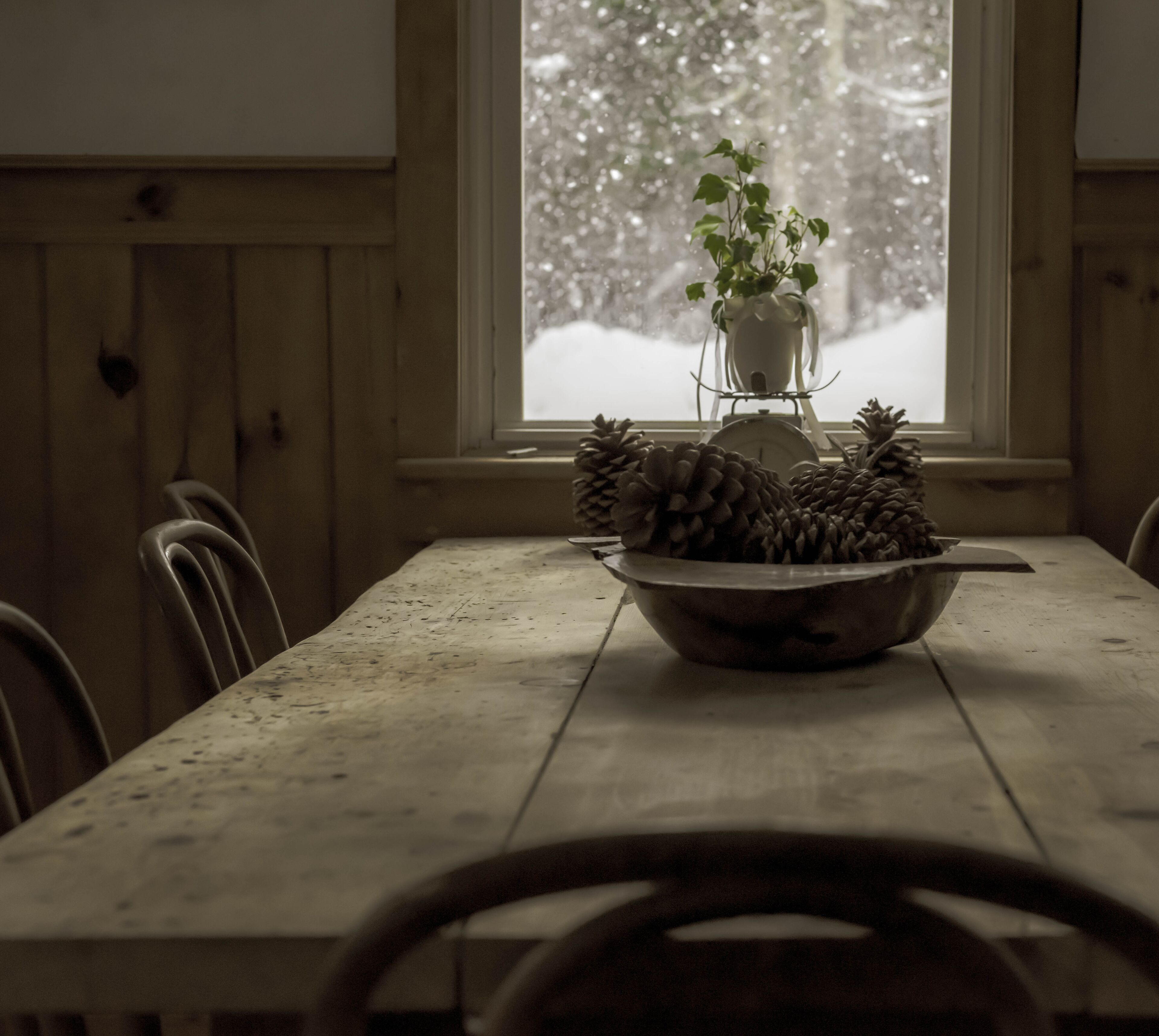 Una mesa de madera con un cuenco de piñas y una planta en maceta.
