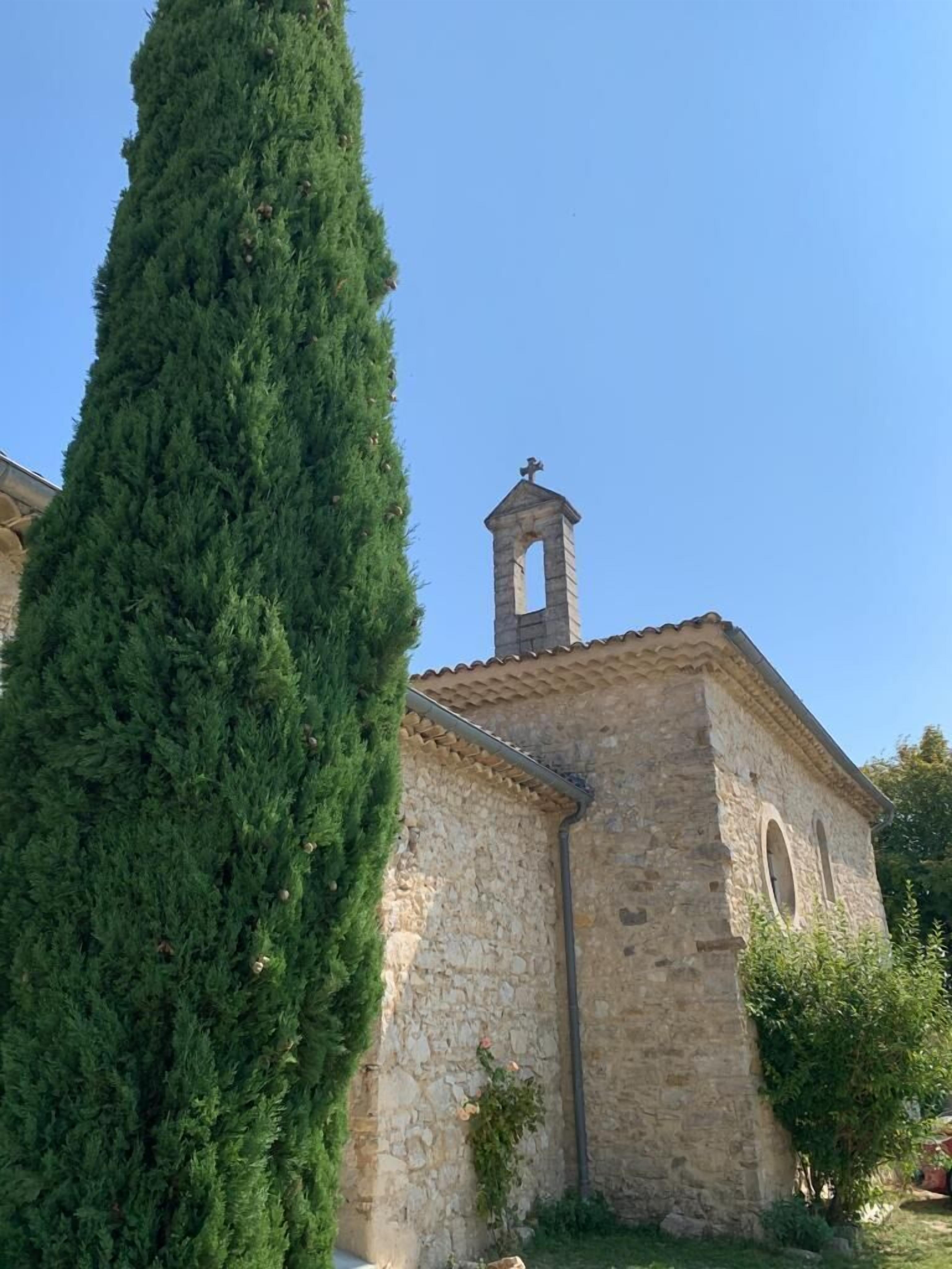 MAGNIFICENT DOMAIN IN DROME PROVENCAL 7