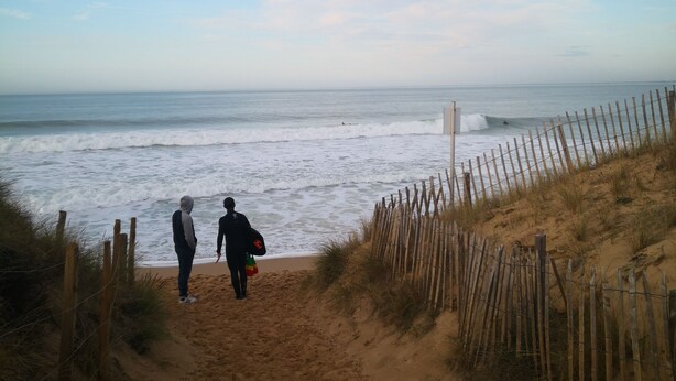 Strand