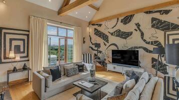 TV, fireplace, offices