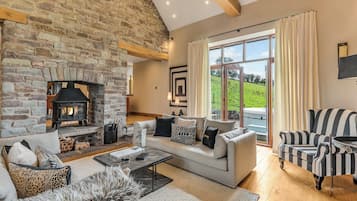 Télévision, cheminée, espaces bureaux