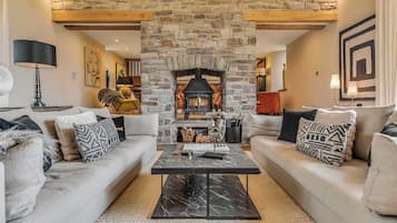 Télévision, cheminée, espaces bureaux