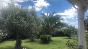 Ein gepflegter Garten mit verschiedenen Bäumen und einem gepflasterten Weg.
