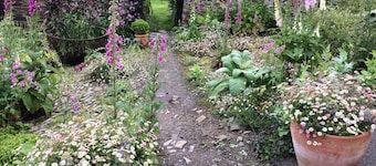 Frizenham Farmhouse B&B