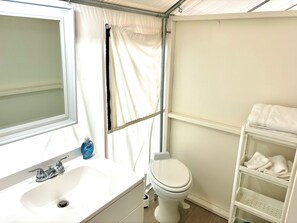 Shower, towels, toilet paper