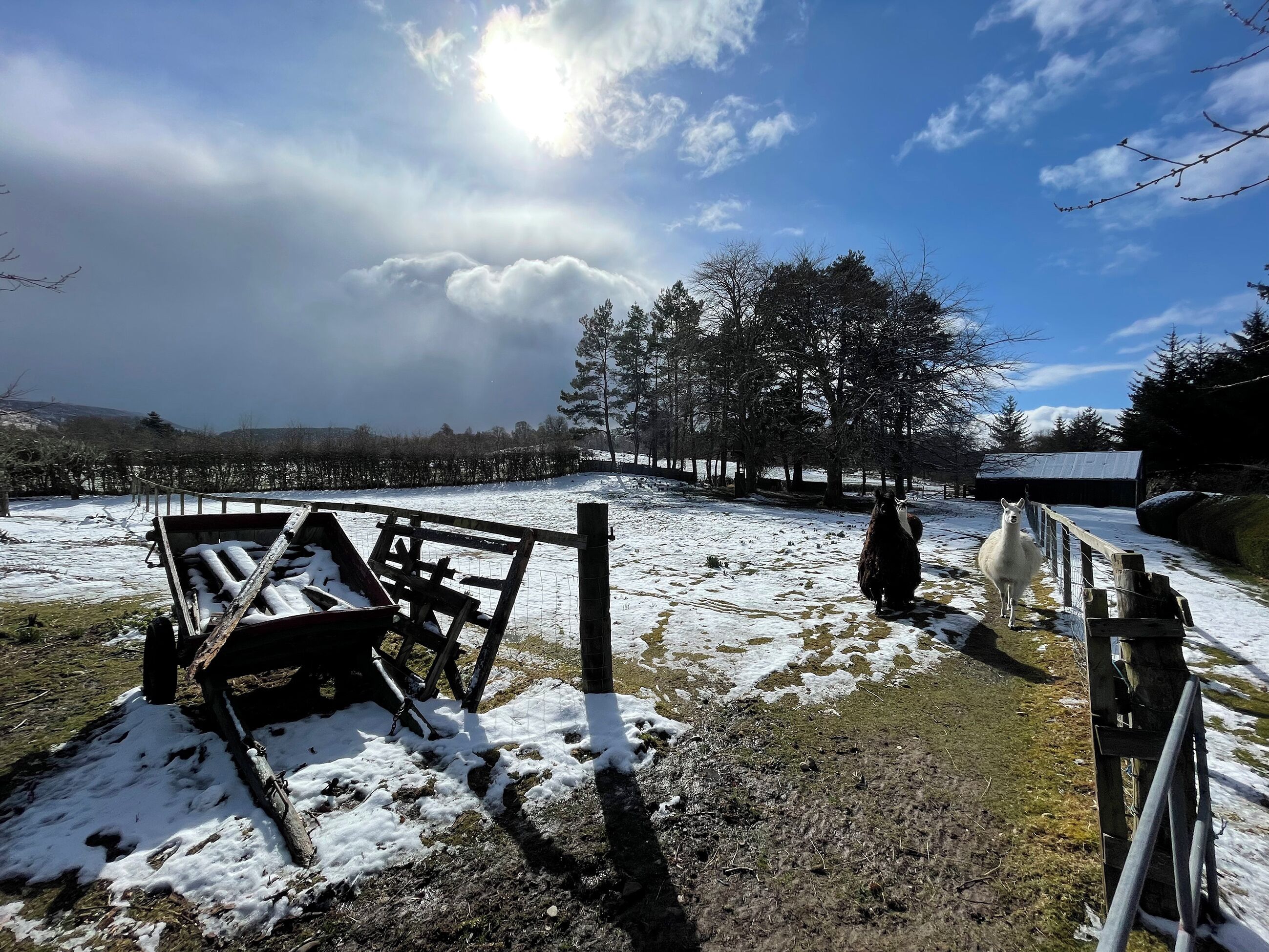 Terrain de l’hébergement 