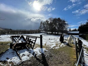 Property grounds - 1 bedroom accommodation in Farr (Farr)