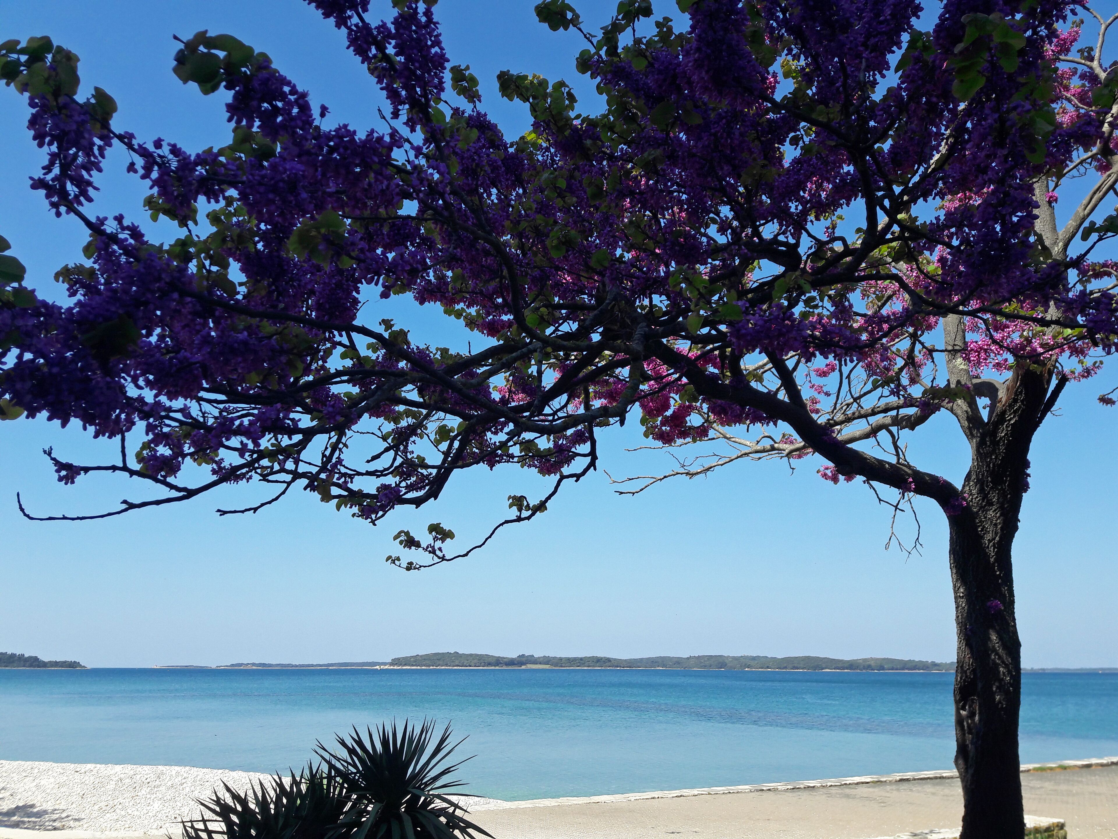 Una spiaggia nelle vicinanze