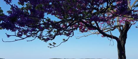 Una spiaggia nelle vicinanze