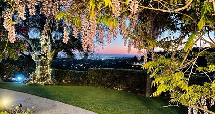 Oasis in Beverly Hills