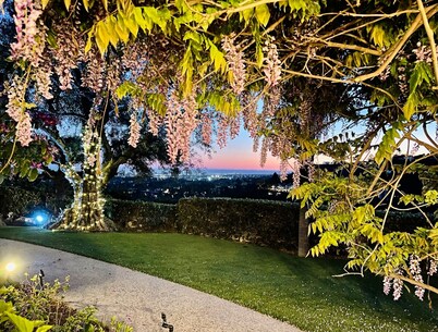 Oasis in Beverly Hills