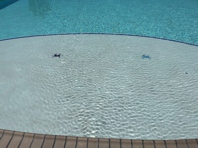 Beach Retreat Minutes to the Beach and just steps to the Pool!!