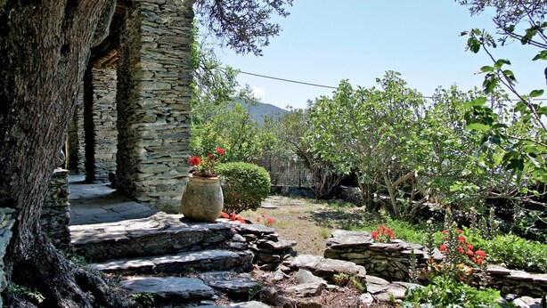A stone pathway leading to a rustic building with a large tree on the left.