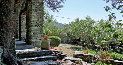 Country house for rent Morsiglia Cap Corse sleeps 10