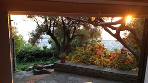 A stone patio with a wooden bench, surrounded by lush greenery and flowering plants.