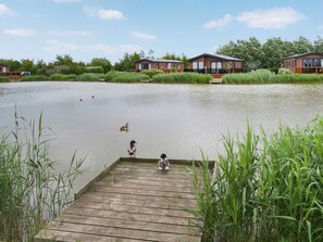 A wooden dock extending into a calm body of water, surrounded by lush greenery and a row of cabins in the background.