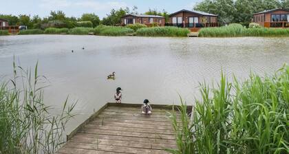 Sandy Shore - UK37724